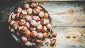 Hazelnut-img